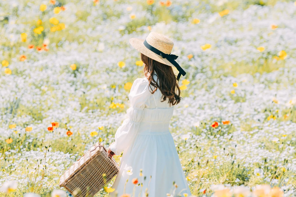 花の駅せら　白ネモフィラとポピー-scaled